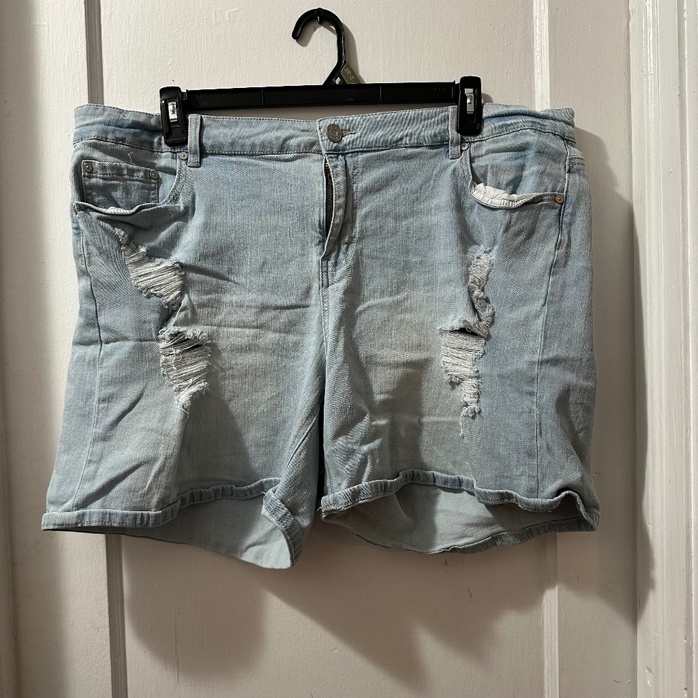 Indigo Rein Distressed Denim Shorts‎ in 24